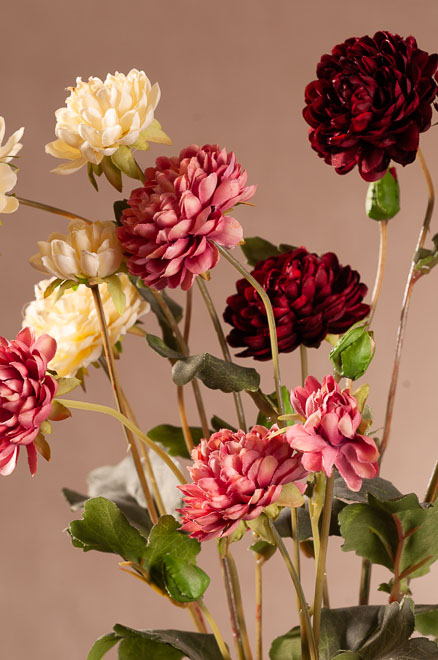 F394- Vyberte si chrysantémy ve třech barvách
